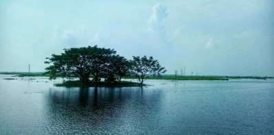 বিল