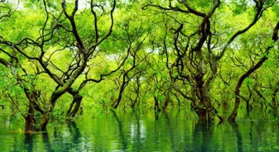 রাতারগুল