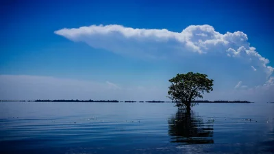 টাঙ্গুয়ার হাওর