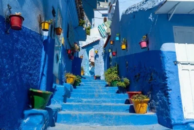 steps-flowerpots-1