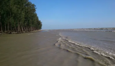 তারুয়া দ্বীপ