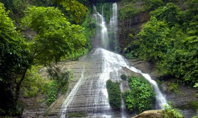 নাপিত্তাছড়া ঝরনা
