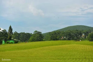 পার্ক