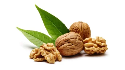 আখরোট মস্তিষ্কের জন্য উপকারী