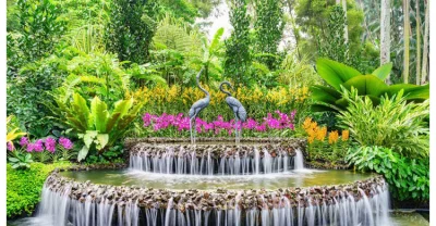 জাতীয় অর্কিড উদ্যান